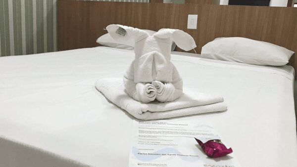 Apartamento 1 Quarto - Encontro das Águas Thermas Resort - Imagem 4